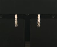 Orecchini Recarlo Donna in Oro Diamante 0.12 Ct ZS 804B800 - ZS 804B800